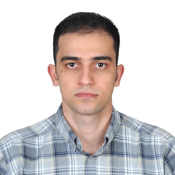 حمید اعراب، توسعه‌دهنده ارشد وردپرس و ووکامرس